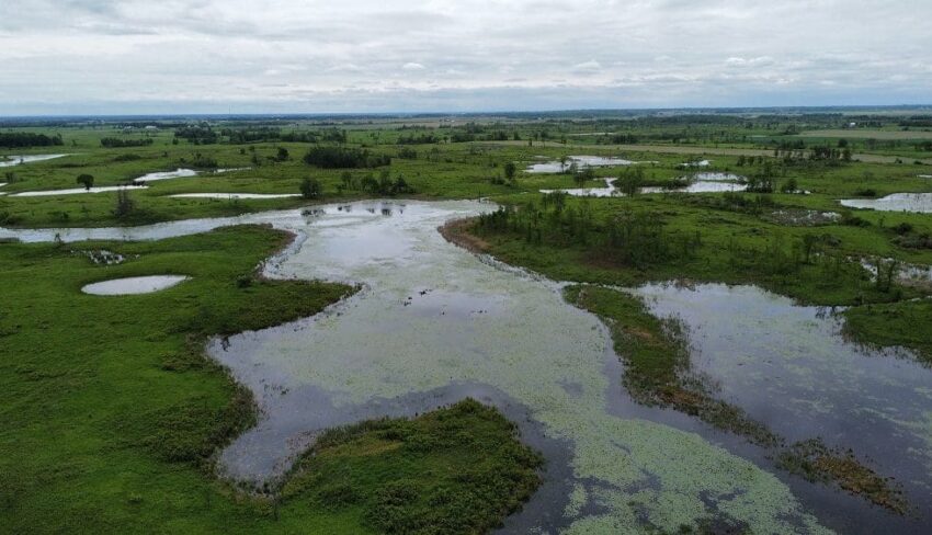 Atocas Bay: A gift of nature that’s for the birds and more