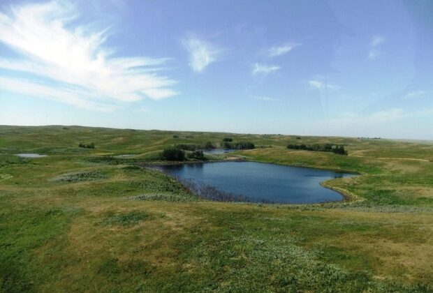 Partners in conservation: protecting Alberta’s remaining grassland habitat