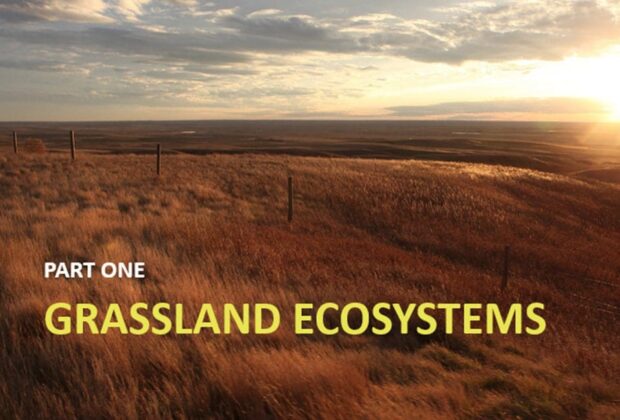 Introduction to Grassland Ecosystems