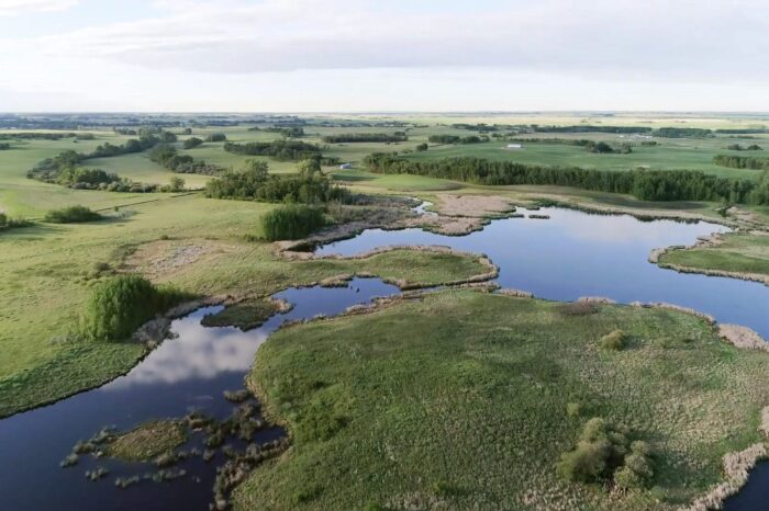 The many ag-environmental benefits of retaining trees in farmland may outweigh the inconvenience.