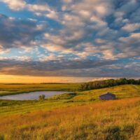 What is a grassland?