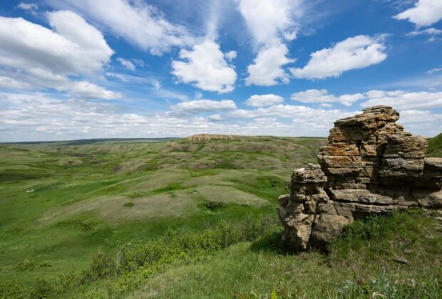 Conservation leaders join forces on largest private grassland project in Canadian history