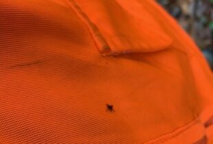 Tick Talk: Tips for keeping ticks from catching a ride as you explore Canada’s wetlands