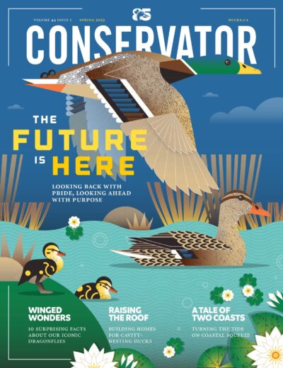 Conservator Magazine