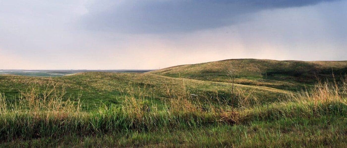Weston Family Prairie Grasslands Initiative: Helping farmers and ranchers enhance biodiversity on their land 