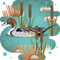 The conservation long game