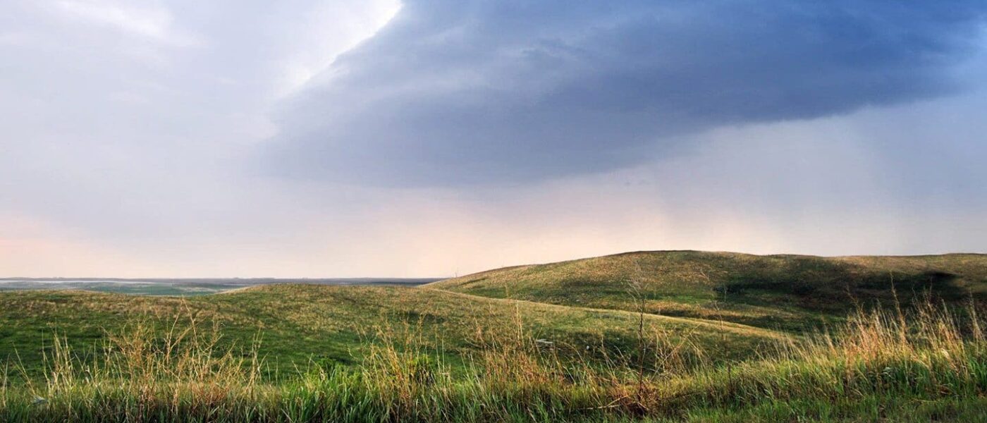 The Weston Family Prairie Grasslands Initiative has pledged $5 million (2021-2025) to DUC’s conservation easement program to protect these ecologically valuable and threatened ecosystems.