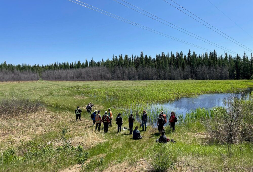 Visitors tour wetlands at the Boreal Wetland Centre.