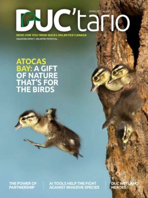 Ontario News from Ducks Unlimited Canada