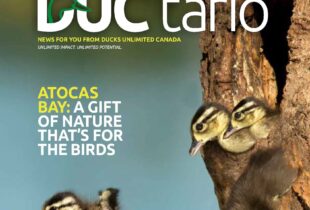 Ontario News from Ducks Unlimited Canada