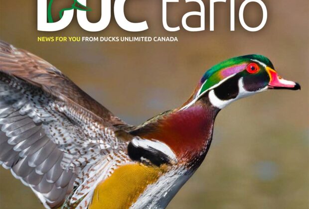 Ontario News from Ducks Unlimited Canada