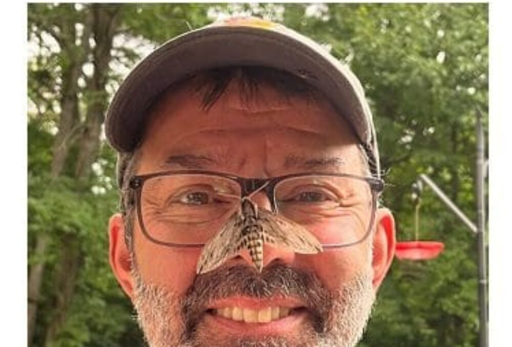 Ed Poropat from Haliburton County, Ont. has recorded more than 1,125 species of moths in his one-acre yard.