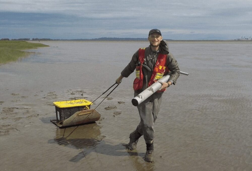 DUC's Eric Balke works in unvegetated mudflats at Sturgeon Bank outside the marsh leading edge, in an area formerly vegetated. At least 160 hectares of tidal marsh have died off at Sturgeon Bank since the 1980s. Ducks Unlimited Canada is working to curb marsh die off and restore marsh habitat.