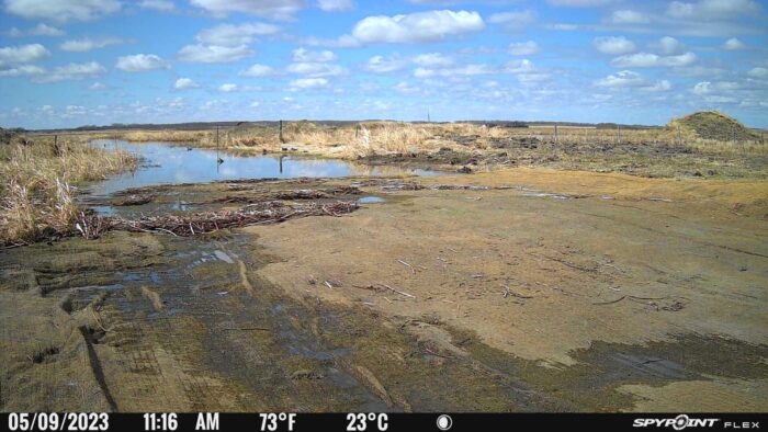 Before and after: Immediately following spring thaw, the Hannotte restoration is holding water but hasn't yet started to green up.