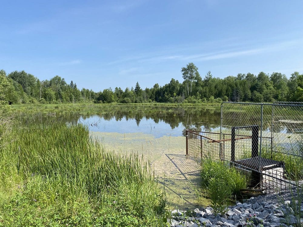 Nonquon Provincial Wildlife Area 