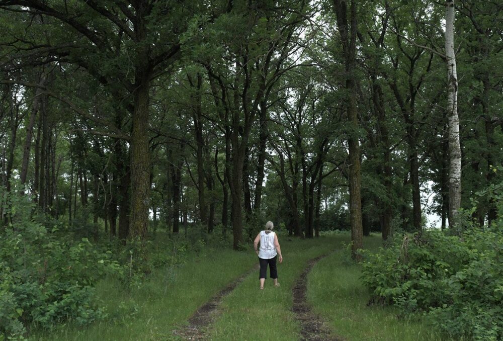 Tall tree stands, marshes and grasslands are included in Chapman's conservation agreement.