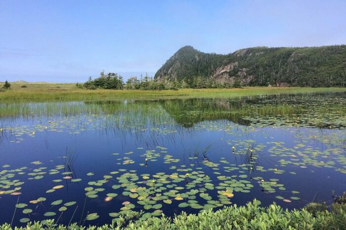 Wetland scenic near Burgeo (Newfoundland).