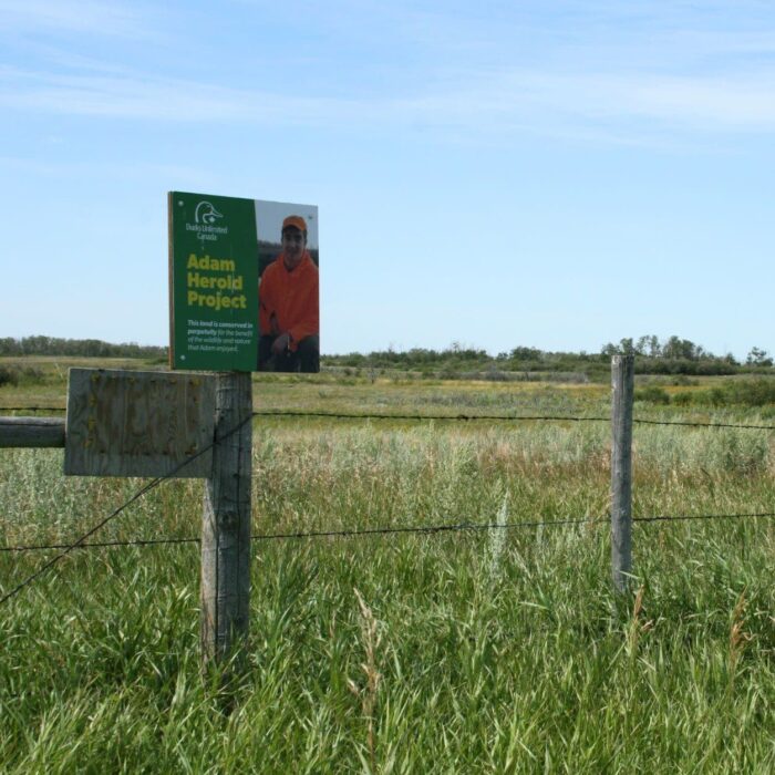 A small fence sign indicates a boundary of the Adam Herold Project.