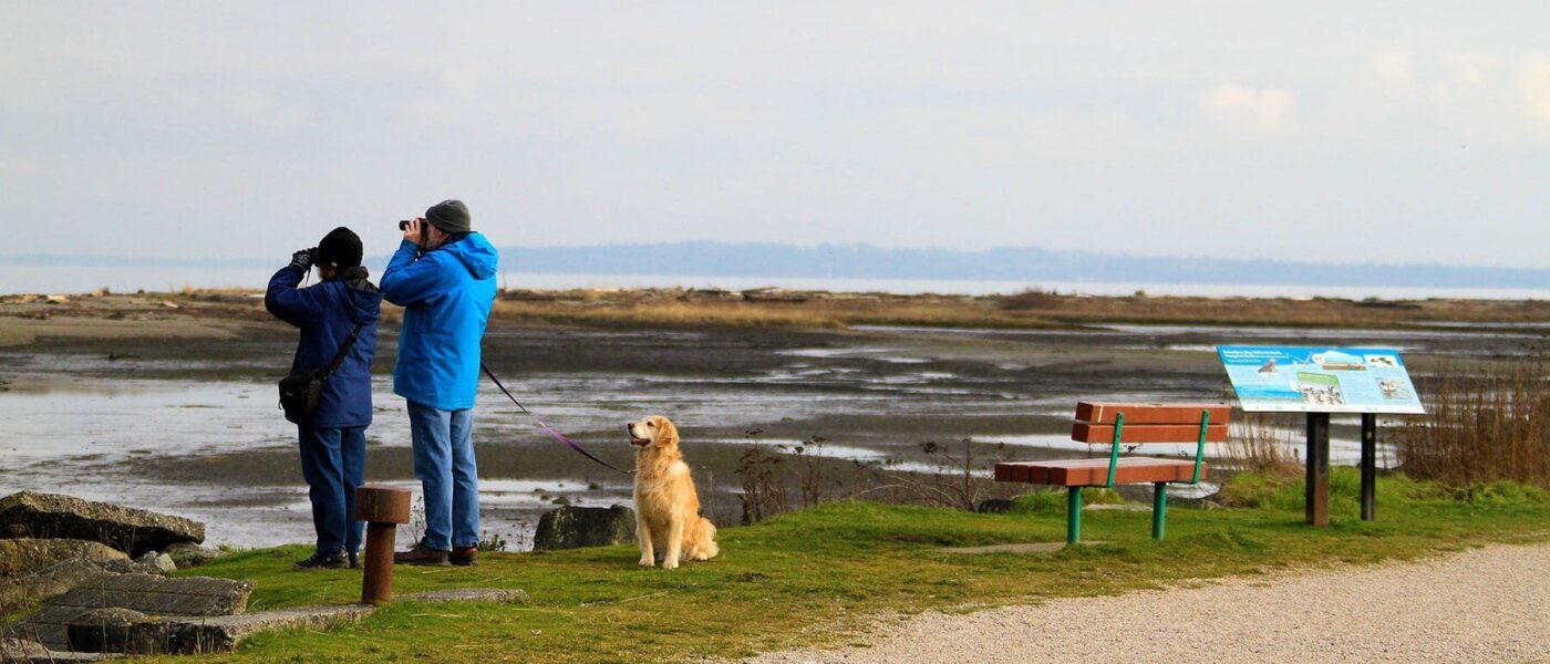 Birders in Boundary Bay on the Canada–United States border in southern B.C.