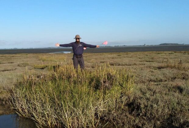 Battling Spartina to protect B.C.’s coastal estuaries 