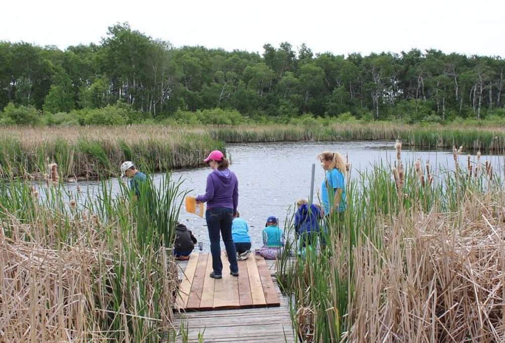 The Binney WCE has become a model for wetland education in Manitoba, thanks to volunteers like Cliff Greenfield and Kent Lewarne.