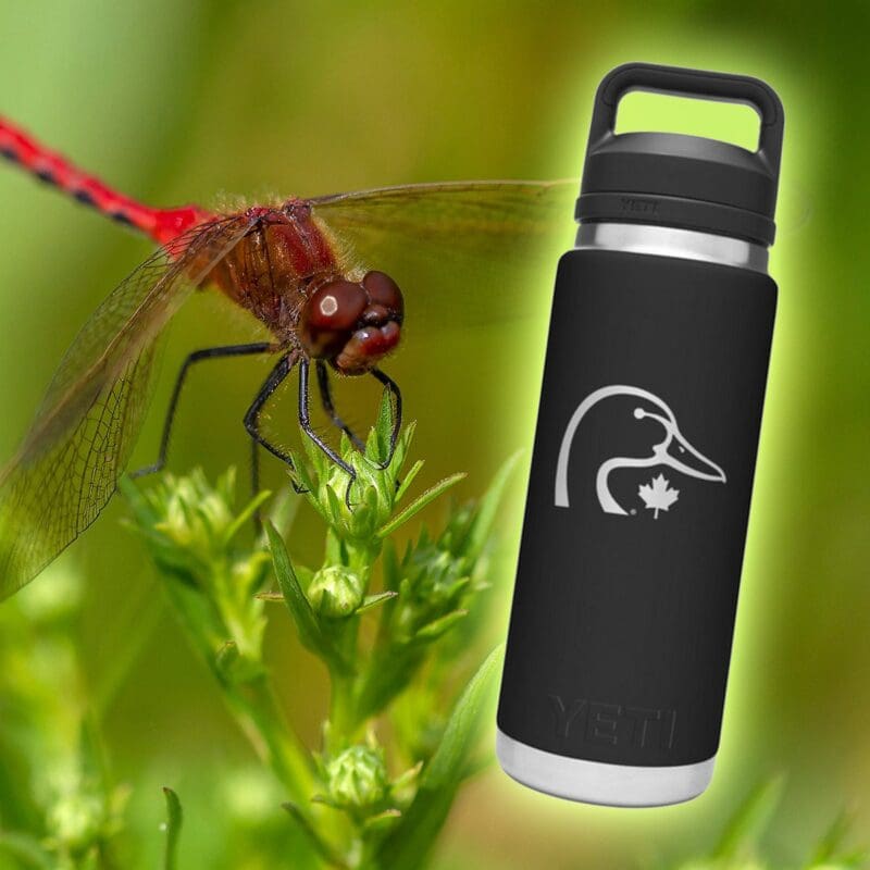 YETI water bottle with dragonfly