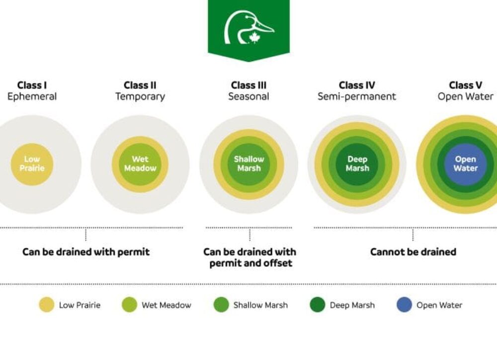 Classification for wetland permanence in the Prairie Pothole Region (Stewart and Kantrud wetland classification system) and drainage rules for each class within the Manitoba Water Rights Act.