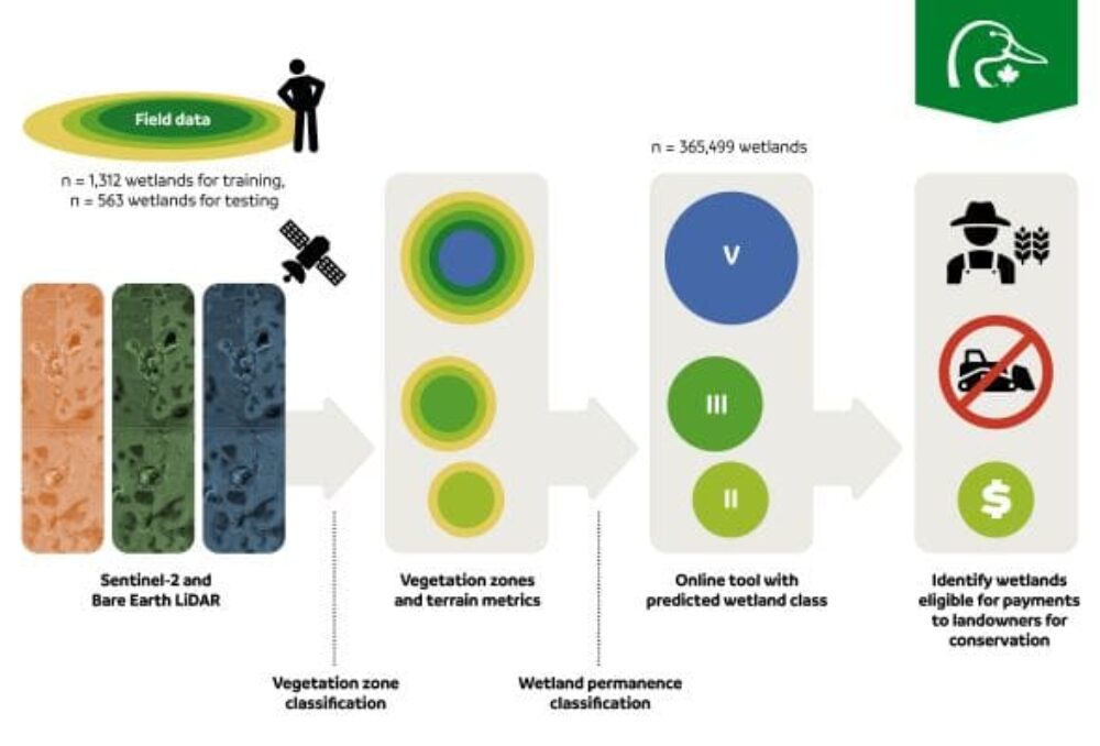 Concept for data collection, classification models and identification of eligible wetlands for potential conservation.