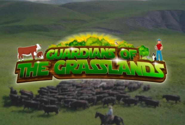 Guardians of the Grasslands