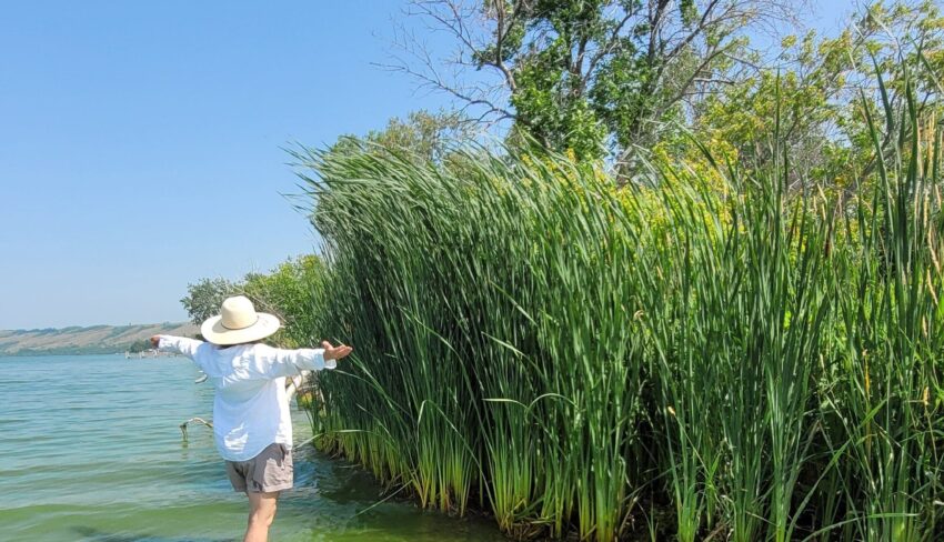 Building a community of lake-lovers in Saskatchewan