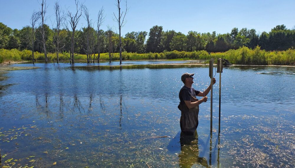 In the Duck Doctor series, our conservation experts answer some frequently asked questions about wetlands, waterfowl and wildlife.