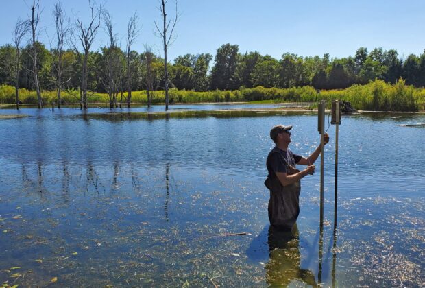 Conservation scientists shed light on some of Canadians’ most common nature questions