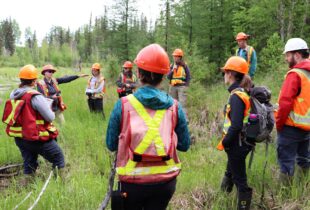 Forestry and Wetland Management Partnership Awarded for Group Achievement