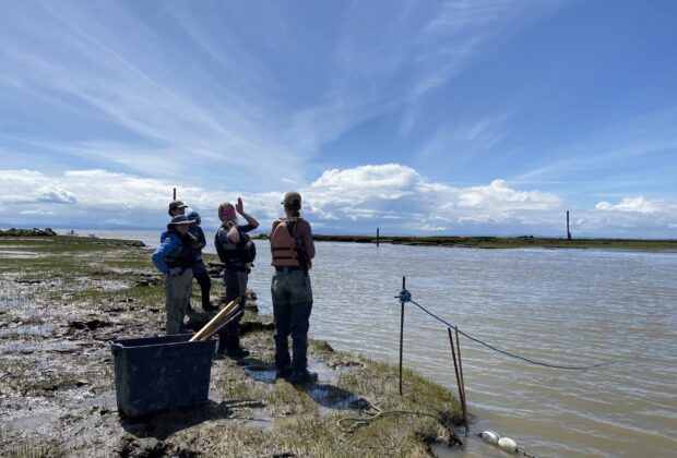 Bringing estuary habitats back to life, one partnership at a time