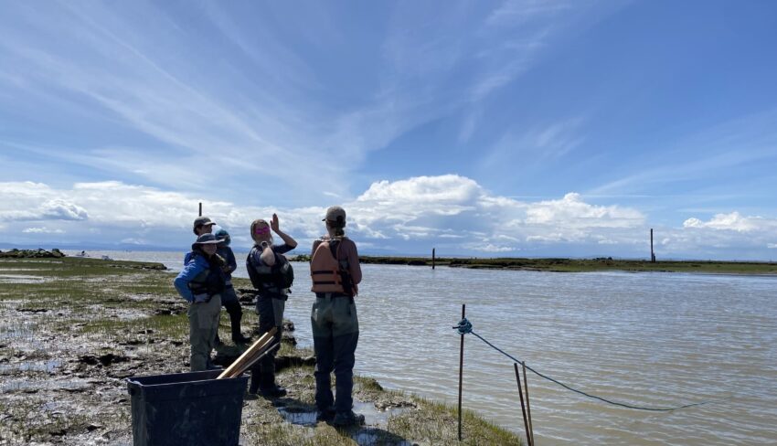 Bringing estuary habitats back to life, one partnership at a time