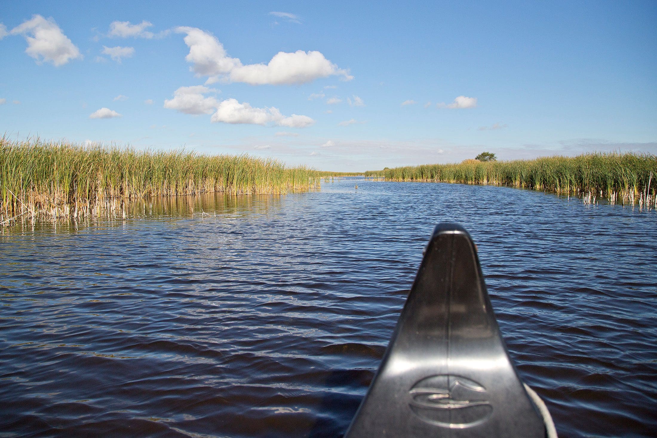 Canoe floating in a wetland