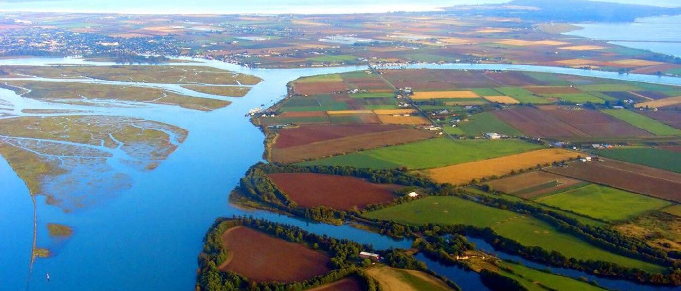 The Fraser River Estuary Salmon Habitat (FRESH) partnership includes DUC, Raincoast Conservation Foundation, Tsawwassen First Nation and Lower Fraser Fisheries Alliance. 