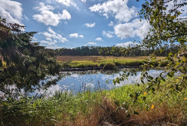 Ducks Unlimited Canada celebrates the Government of British Columbia’s newly announced tool for conservation finance