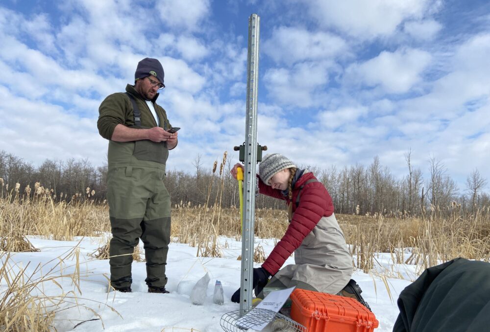 DUC staff erect trail cameras and autonomous recording units (ARUs) at a DUC wetland project near Tofield/Camrose, Alberta in early spring.