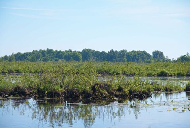 Ducks Unlimited Canada and Raisin Region Conservation Authority secure 10.4 acres in South Glengarry