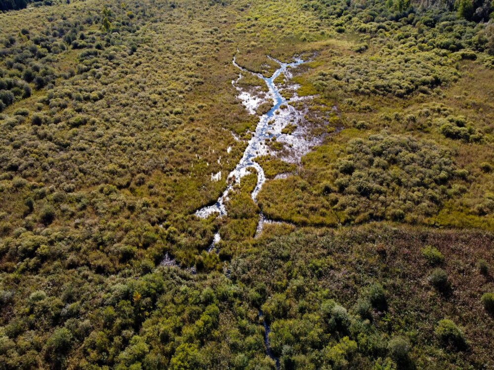 Aerial view of the purchase site containing wetland, grassland and forest habitats that support a wide variety of wildlife species including numerous threatened, endangered and/or species of special concern.