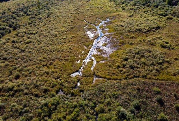 Ducks Unlimited Canada and partners conserve 96 acres in Lake Erie Watershed