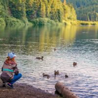 Unique gift ideas that support conservation