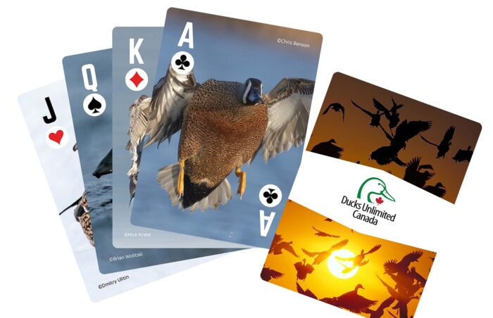 Fowl Friends Playing Cards