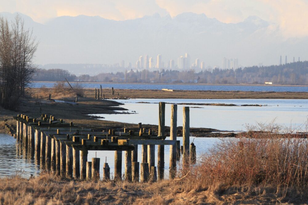 Fraser River Delta in winter.