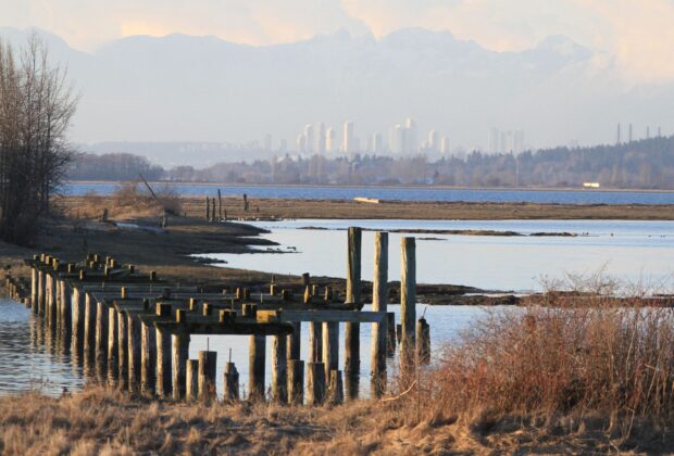 Vancouver residents advocate for conservation in landmark survey