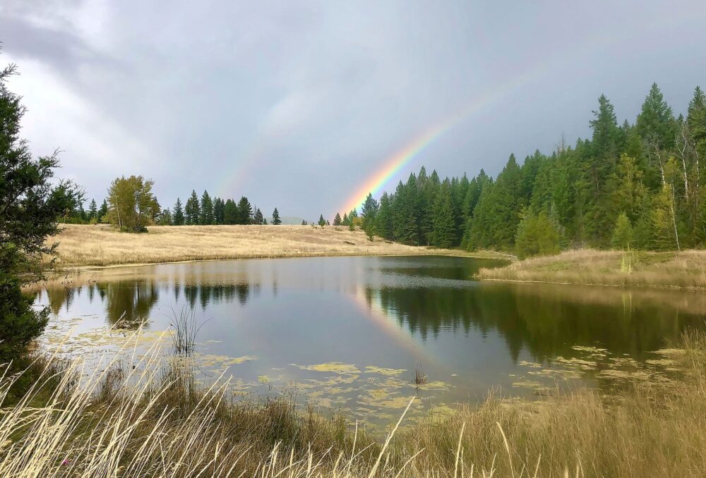 An ecosystem-first approach puts watershed health and wetlands at the centre of landscape planning and management.  