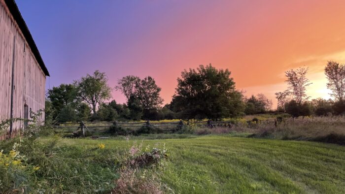 The Young-Findlay farm is a delight for the family with all sorts of wildlife there to see just outside their door. Now, thanks to the DUC built wetland, there's new habitat to attract even more wildlife.