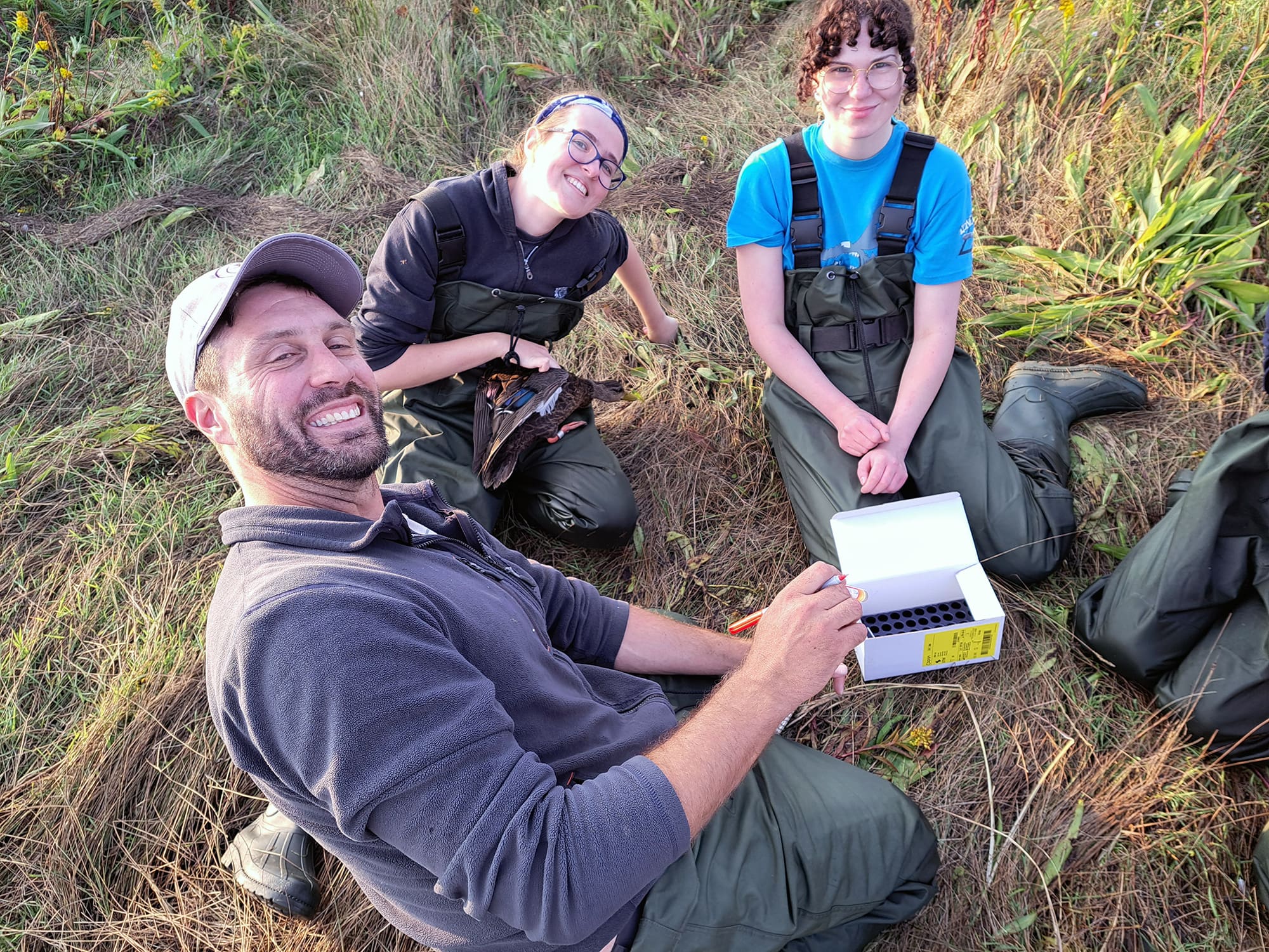 Acadia students on site, duck banding