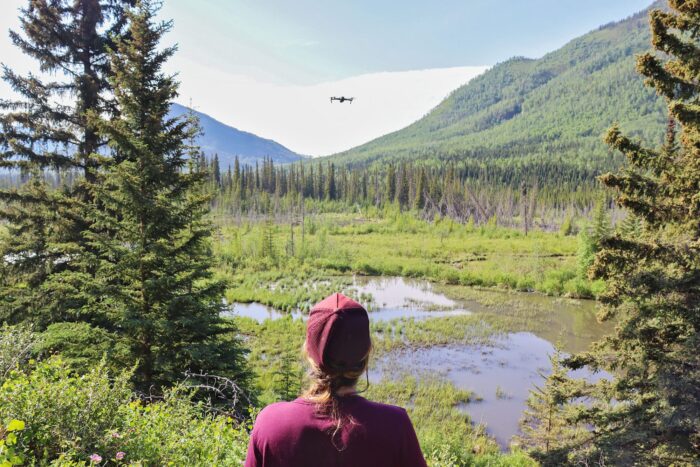 Operating a drone over a boreal wetland.
